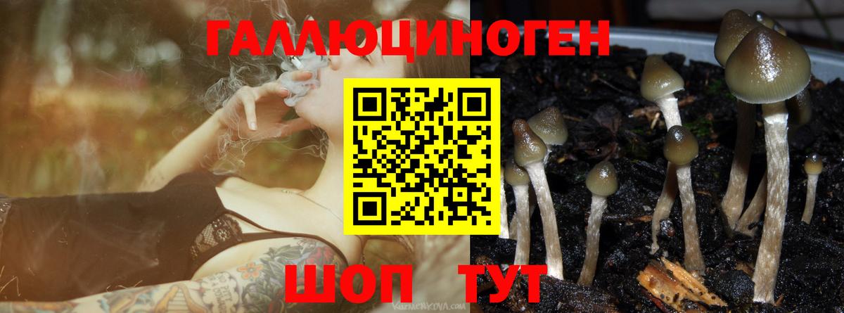 Галлюциногенные грибы Cubensis  Галлюциногенные грибы Psilocybine cubensis  Салават  Вход с VPN 
